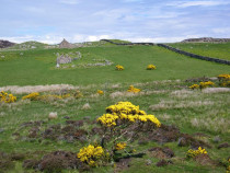 Braighcreich Isle of Mull