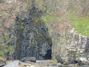  McCullochs Fossil Tree, Ardmeanach, Burg, Isle of Mull