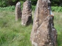 Maol Mor Standing stones Dervaig Isle of Mull Scotland